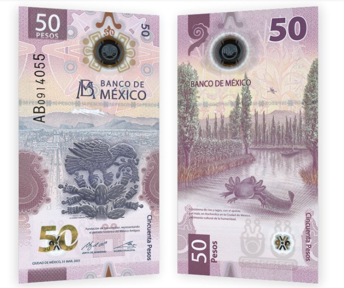 The-New-Banknote-From-M�xico-Feature-One-Of-The-Weirdest-Animal-In-The-World-October-28,-2021